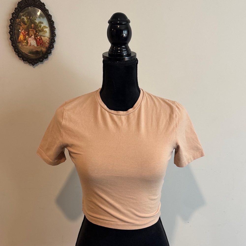 Zara Beige Crop Top